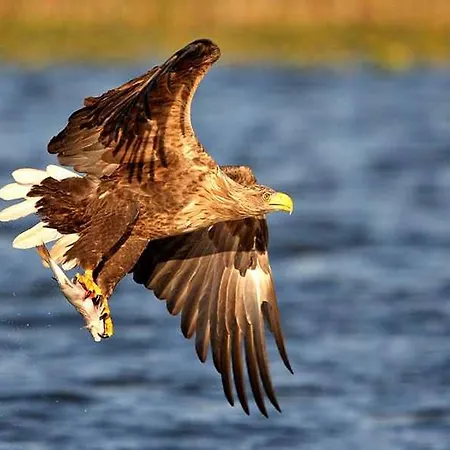 Ferienvilla-mv Casa de Férias *
